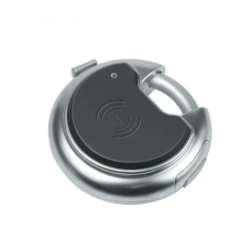 Замок електронний навісний пасивний