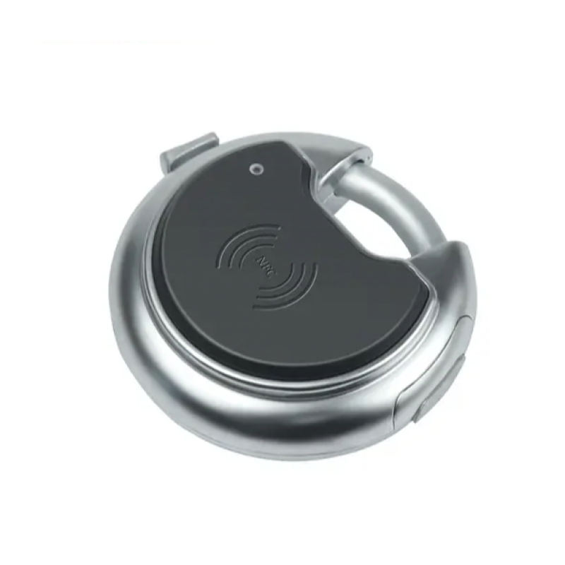 Замок електронний навісний пасивний Замок електронний навісний пасивний